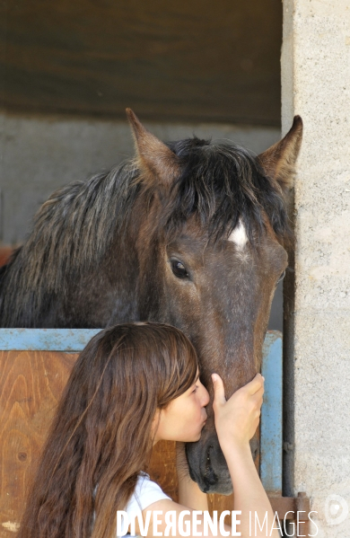 L enfant et les animaux : avec chevaux et poney. Children and animals : with horse and pony.