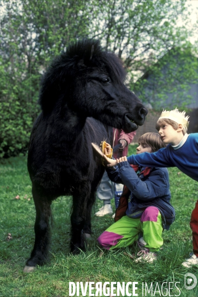 L enfant et les animaux : avec chevaux et poney. Children and animals : with horse and pony.