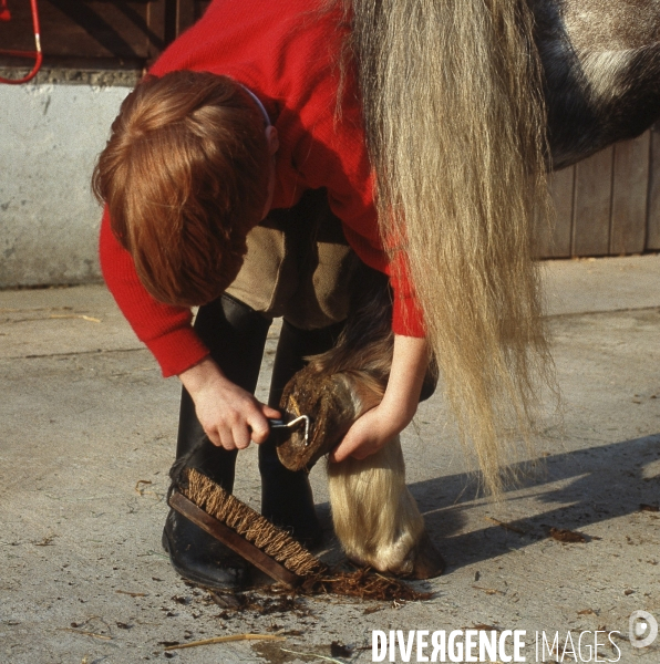L enfant et les animaux : chevaux et poneys.
