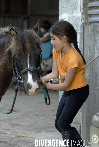 L enfant et les animaux : chevaux et poneys.