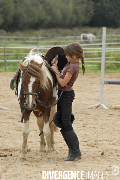 L enfant et les animaux : chevaux et poneys.