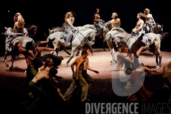 We Were Horses / Carolyn Carlson et Bartabas