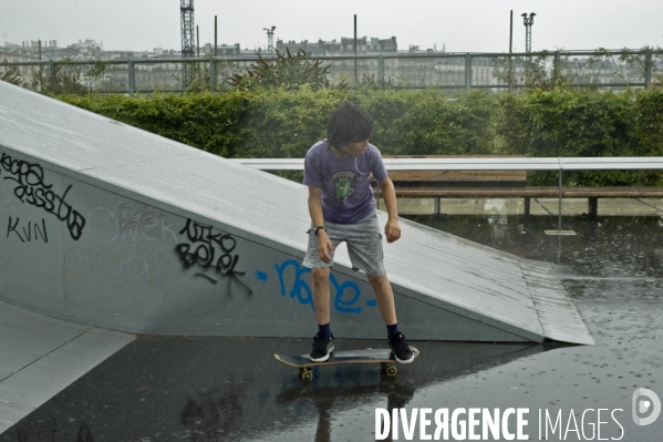 Skateboard