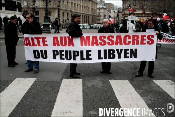 Manifestation Pour la Libye, l Algerie, la Palestine, le boycott d Israel, lesTamouls, et contre le colonialisme.