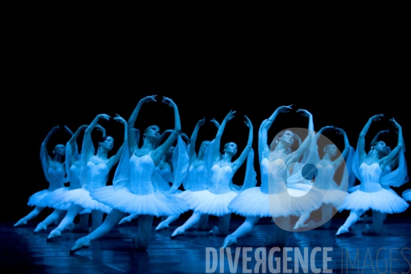 La Bayadère par le Ballet du Théâtre Bolchoï