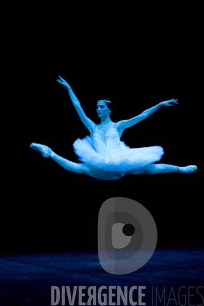 La Bayadère par le Ballet du Théâtre Bolchoï