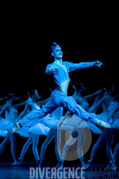 La Bayadère par le Ballet du Théâtre Bolchoï