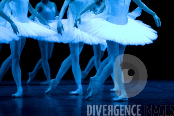La Bayadère par le Ballet du Théâtre Bolchoï