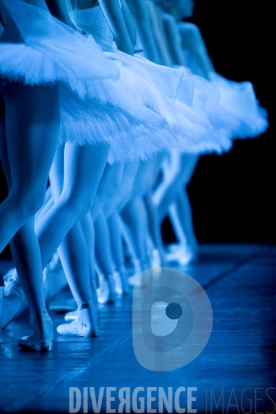 La Bayadère par le Ballet du Théâtre Bolchoï