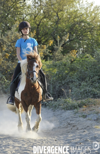 L enfant et les animaux :  jeune cavalier à poney. Children and animals: young pony rider.