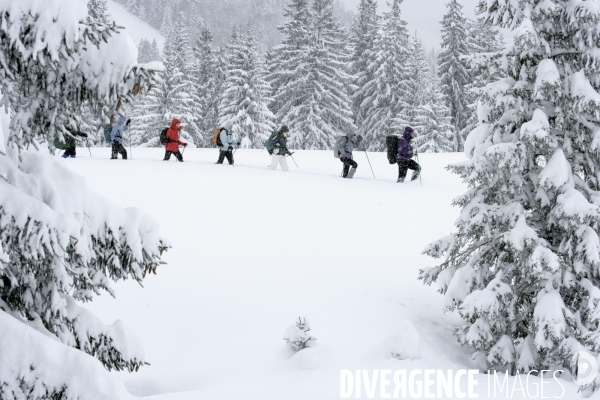 Randonnee en raquettes a neige en baviere