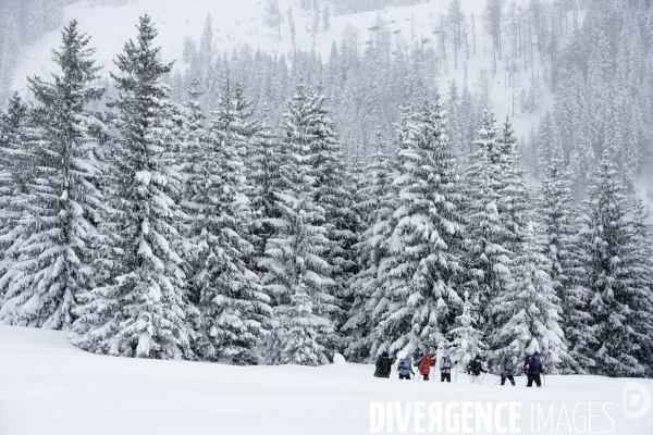 Randonnee en raquettes a neige en baviere