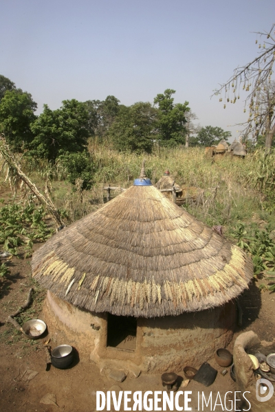 Benin