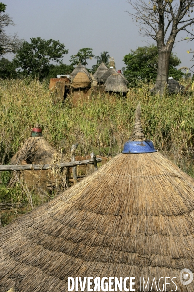 Benin