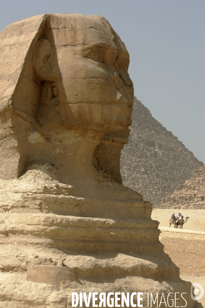 Plateau de Giza