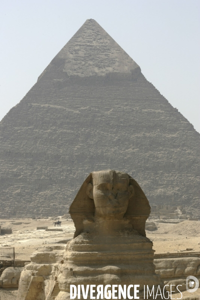 Plateau de Giza