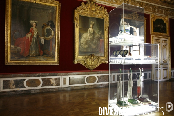 Exposition de l artiste New-Yorkais Jeff Koons dans les appartements royaux et les jardins du Chateau de Versailles