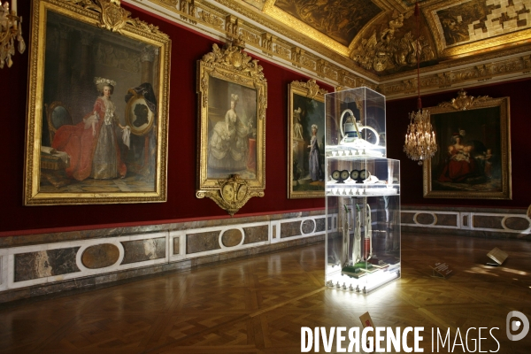 Exposition de l artiste New-Yorkais Jeff Koons dans les appartements royaux et les jardins du Chateau de Versailles