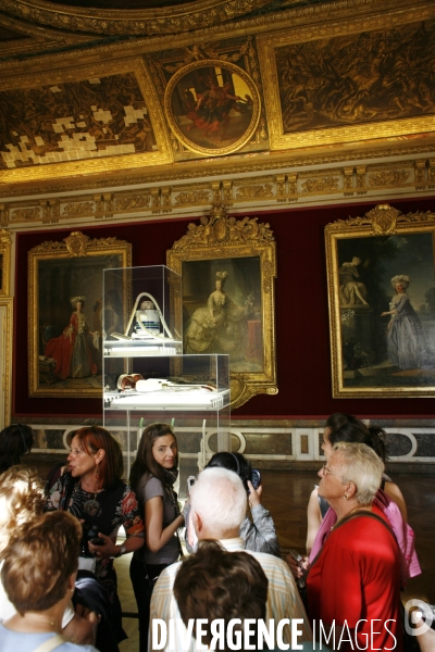 Exposition de l artiste New-Yorkais Jeff Koons dans les appartements royaux et les jardins du Chateau de Versailles