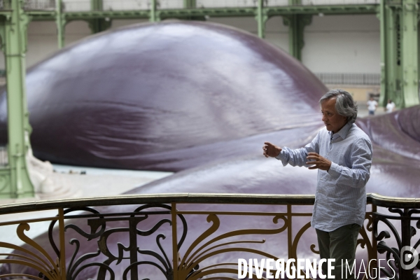 Anish Kapoor, artiste britannique né en Inde, invité de l exposition Monumenta au Grand Palais.
