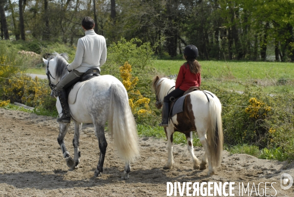 LeMieux - Gants d'équitation Classic en cuir noir