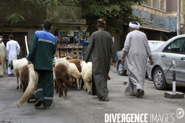 Le Caire Vie quotidienne