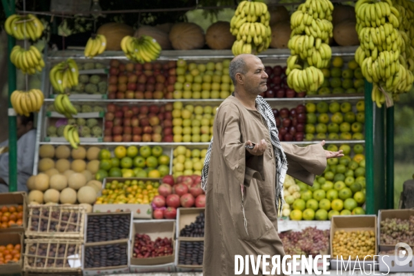 Le Caire Vie quotidienne