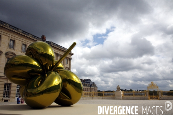 Exposition de l artiste New-Yorkais Jeff Koons dans les appartements royaux et les jardins du Chateau de Versailles