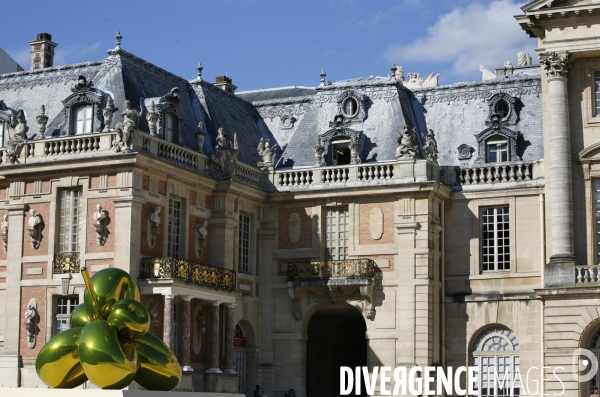 Exposition de l artiste New-Yorkais Jeff Koons dans les appartements royaux et les jardins du Chateau de Versailles