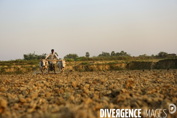 Changement climatique au Bangladesh