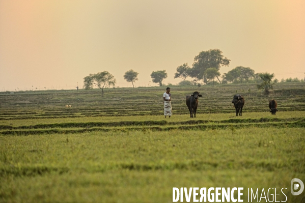 Changement climatique au Bangladesh