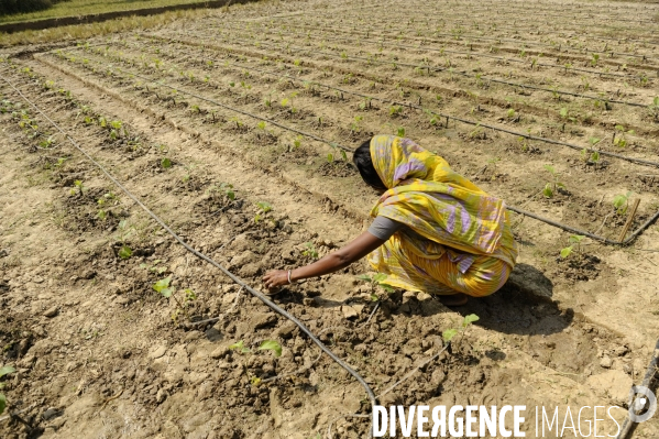 Changement climatique au Bangladesh