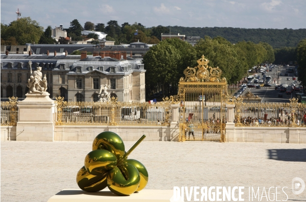 Exposition de l artiste New-Yorkais Jeff Koons dans les appartements royaux et les jardins du Chateau de Versailles