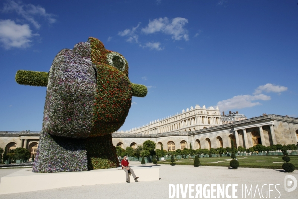 Exposition de l artiste New-Yorkais Jeff Koons dans les appartements royaux et les jardins du Chateau de Versailles