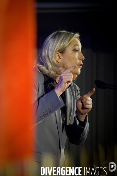 Marine Le Pen en tournee