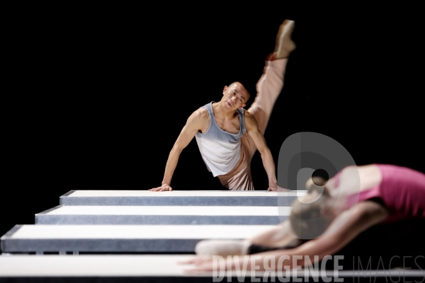 One flat thing, reproduced de William Forsythe