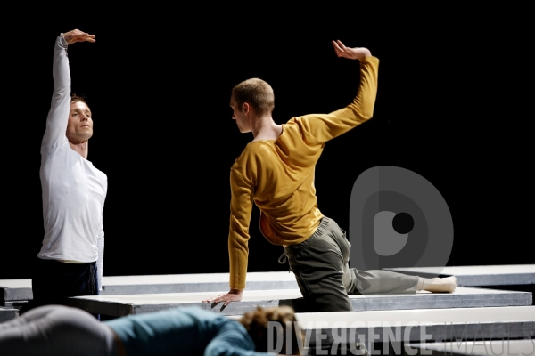 One flat thing, reproduced de William Forsythe