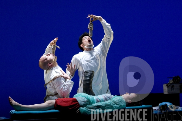 Boliloc de Philippe Genty et Mary Underwood