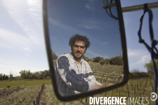 Viticulture, Les quatre saisons d Olivier Pithon