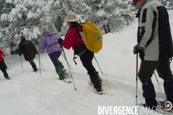 Divers Mars 2009 : Randonnee d hiver