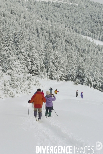 Divers Mars 2009 : Randonnee d hiver