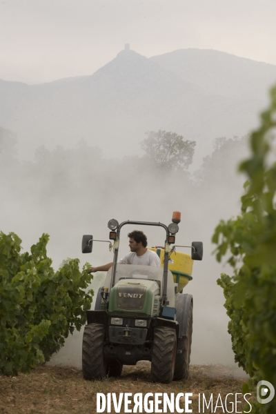 Viticulture, Les quatre saisons d Olivier Pithon