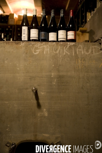 Viticulture, Les quatre saisons d Olivier Pithon