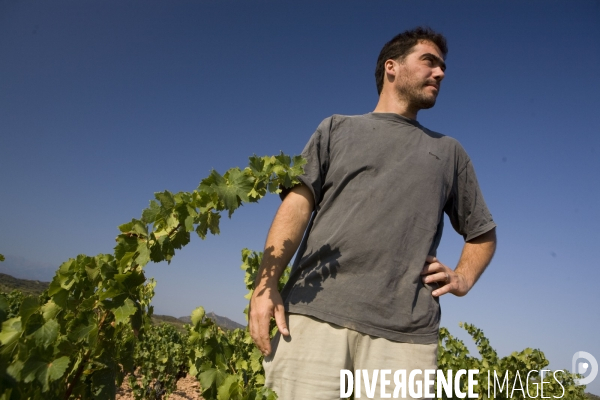 Viticulture, Les quatre saisons d Olivier Pithon