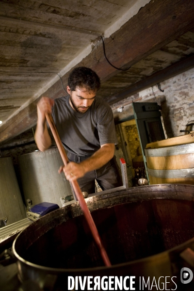 Viticulture, Les quatre saisons d Olivier Pithon