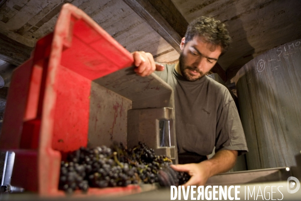 Viticulture, Les quatre saisons d Olivier Pithon