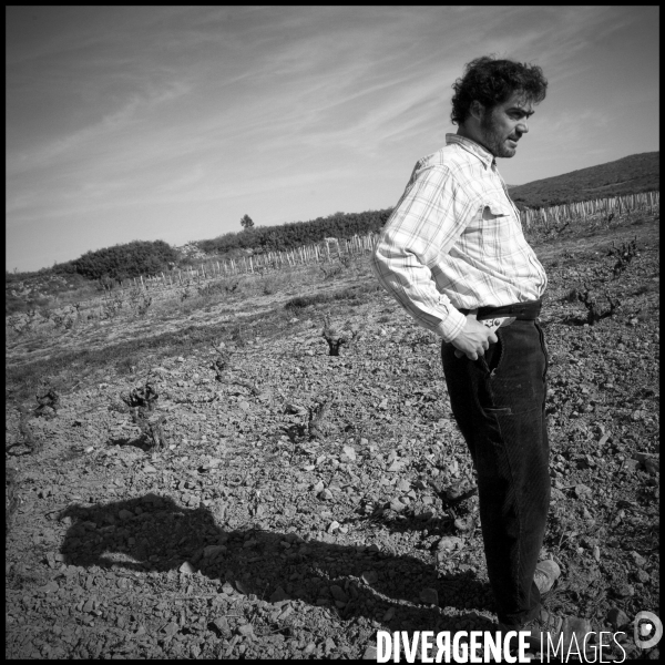 Viticulture, Les quatre saisons d Olivier Pithon