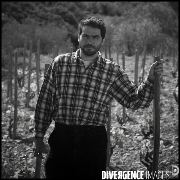 Viticulture, Les quatre saisons d Olivier Pithon