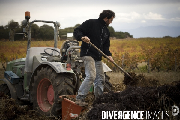 Viticulture, Les quatre saisons d Olivier Pithon