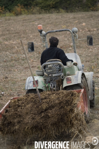 Viticulture, Les quatre saisons d Olivier Pithon